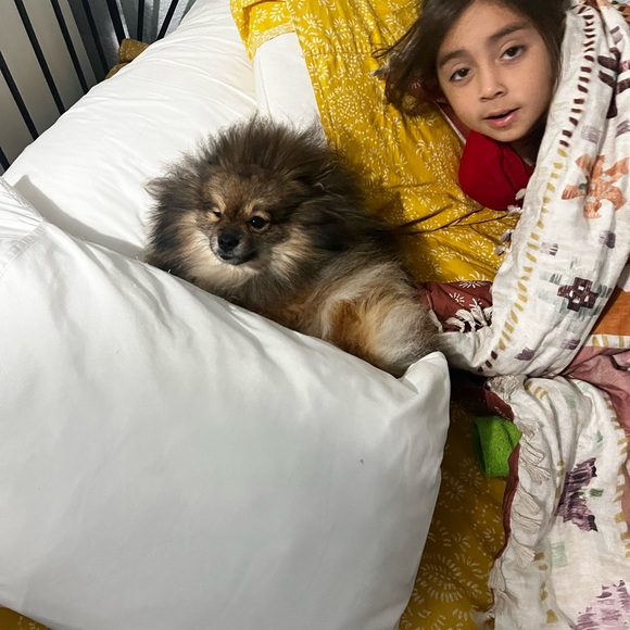 Girls snow boots - Picture 4 of 4